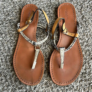 Coach Charleen Sandals Women’s Size 8.5 Printed‎ Snake Skin
